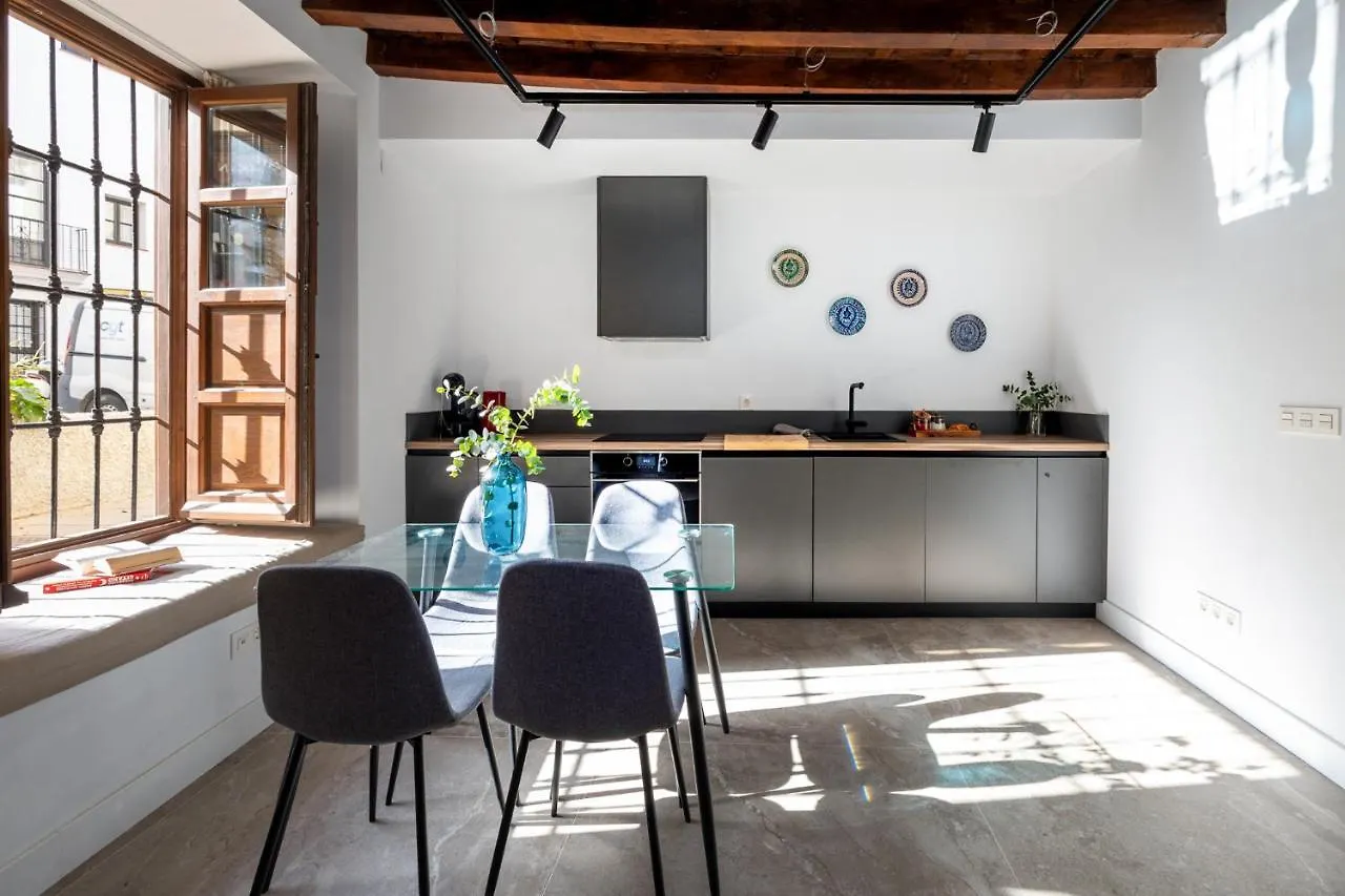 Apartamentos Realejo - Diseno, Confort Y Encanto En El Centro Historico De Granada 0*,  Spain