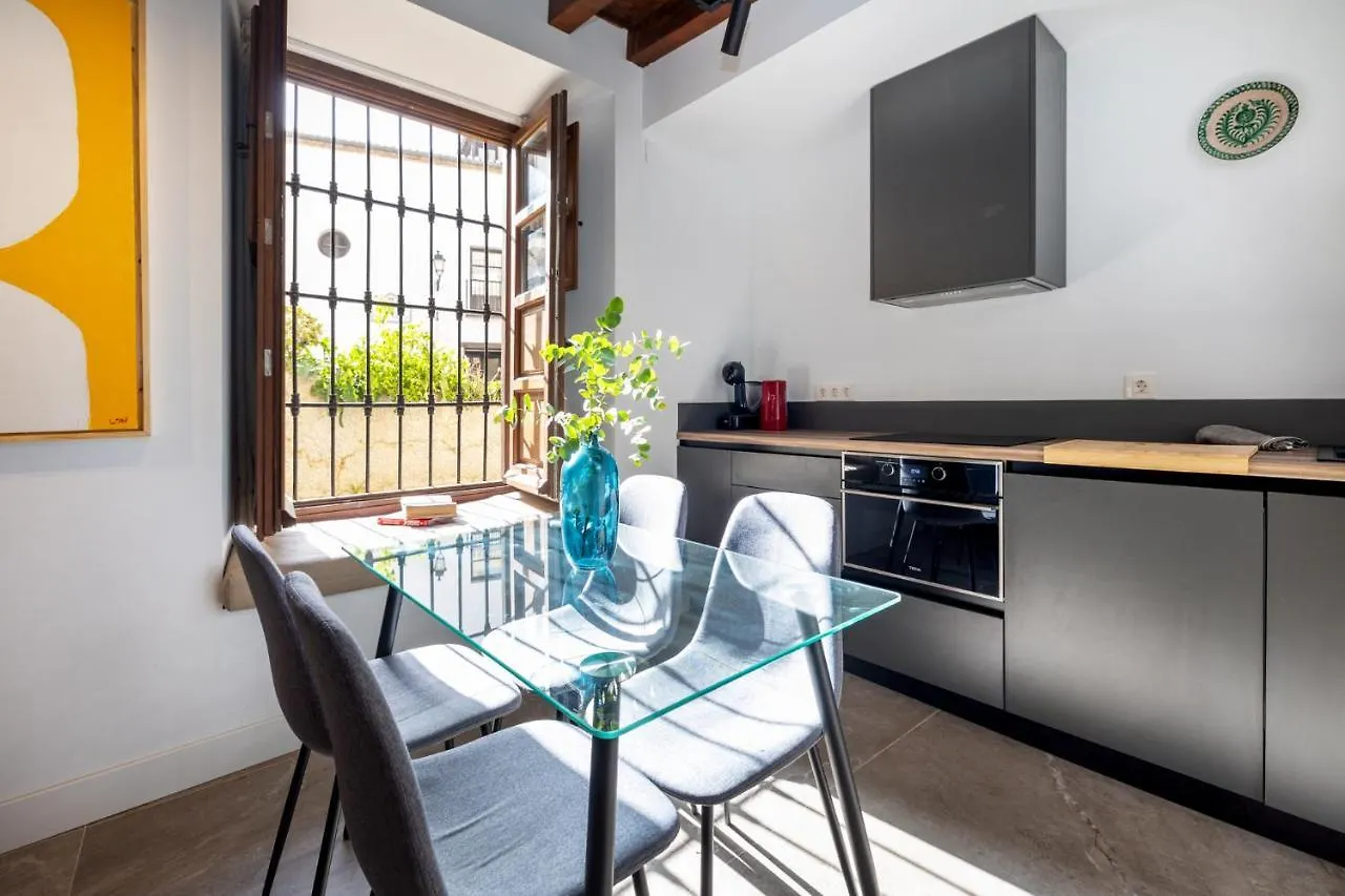 Apartamentos Realejo - Diseno, Confort Y Encanto En El Centro Historico De Granada Apartment