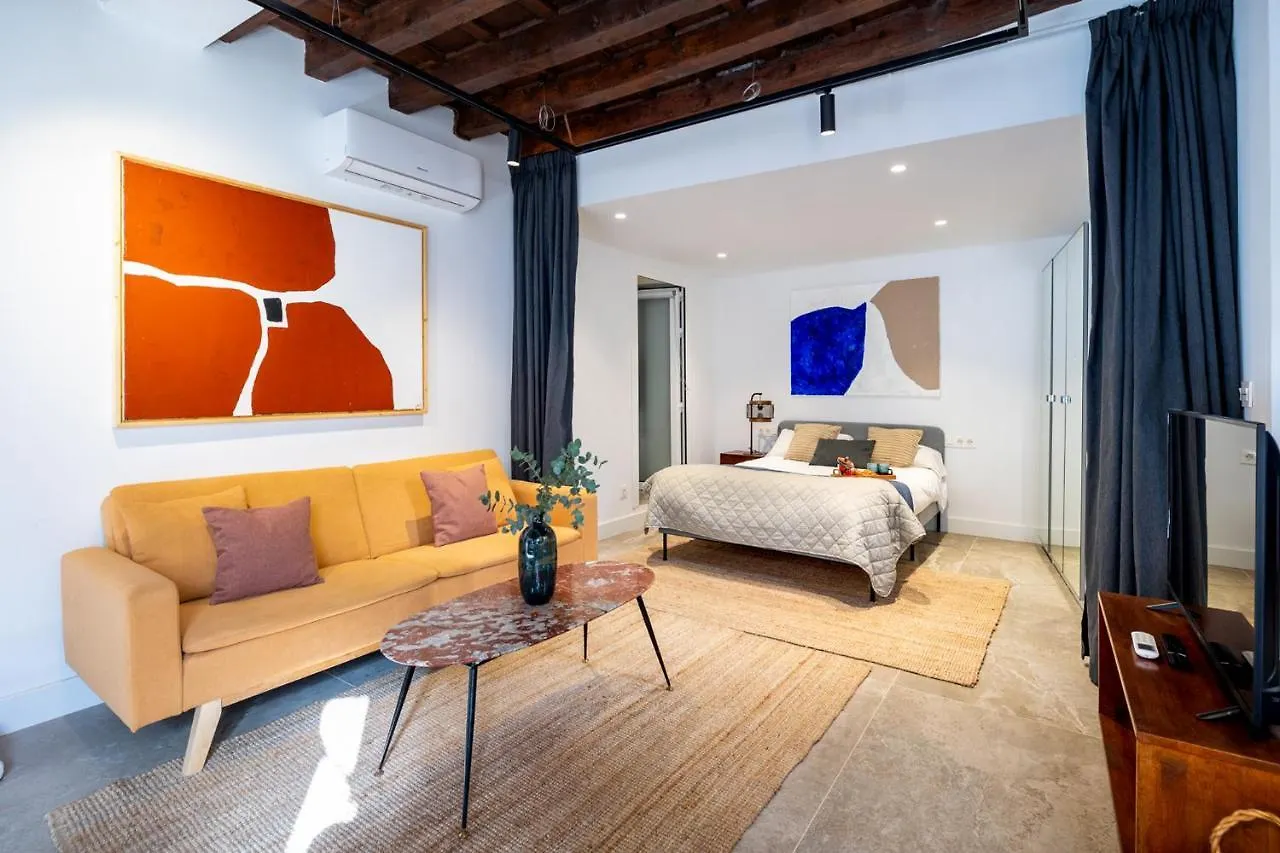 Apartamentos Realejo - Diseno, Confort Y Encanto En El Centro Historico De Granada 0*,  Spain