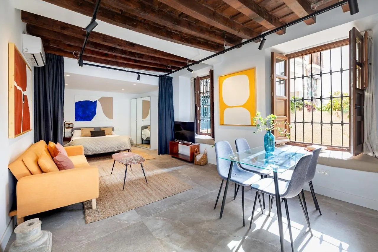Apartamentos Realejo - Diseno, Confort Y Encanto En El Centro Historico De Granada contacts