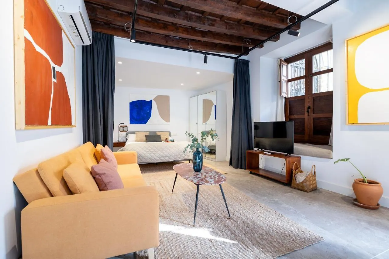 Apartamentos Realejo - Diseno, Confort Y Encanto En El Centro Historico De Granada Apartment